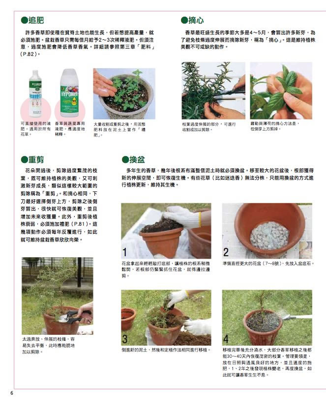 內頁 4