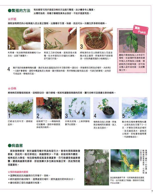內頁 5