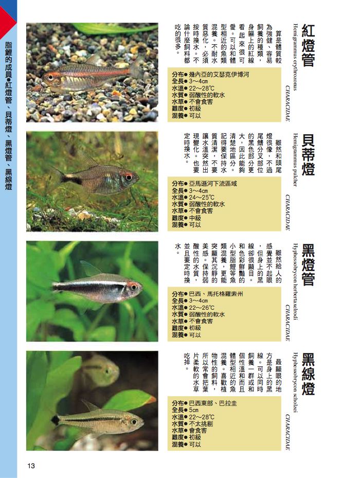 內頁 2