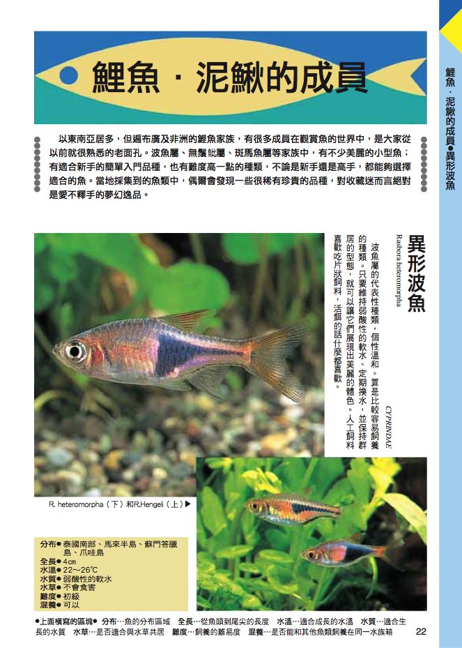 內頁 3
