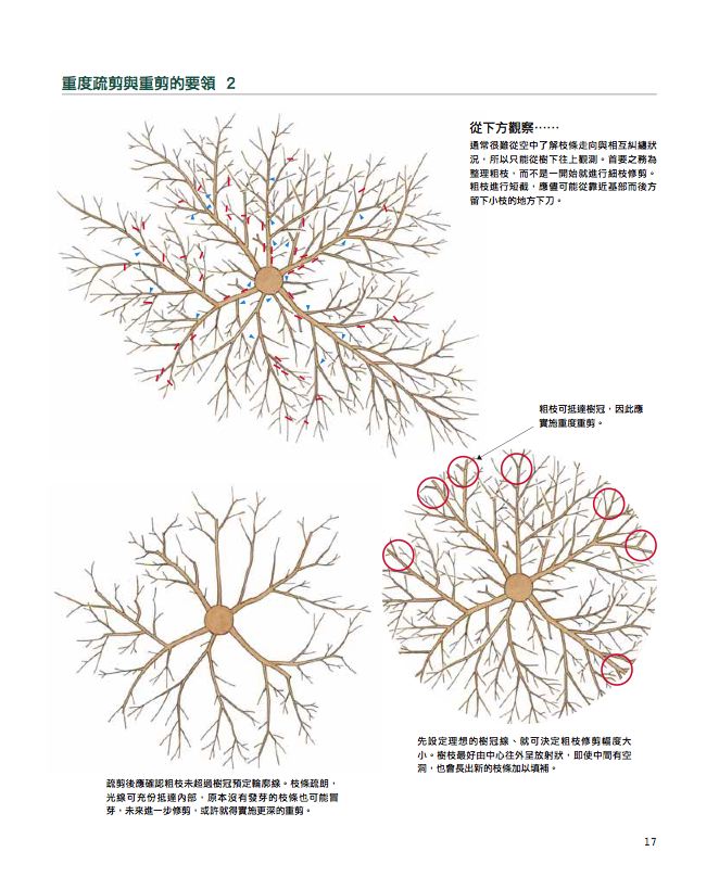 內頁 4