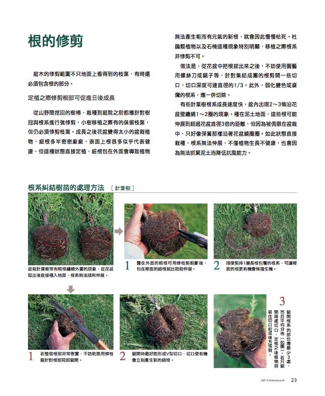 內頁 5