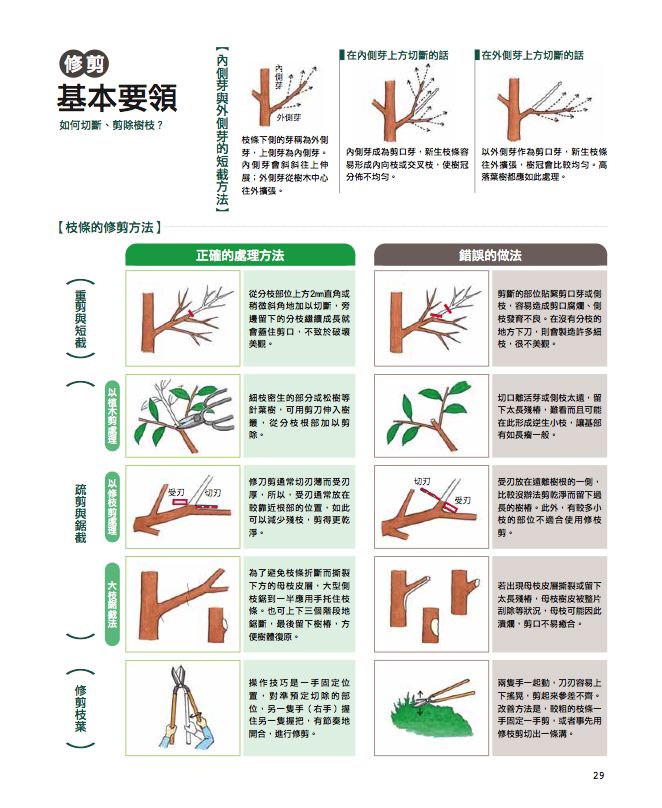 內頁 6