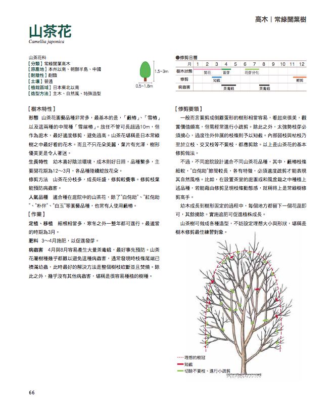 內頁 7