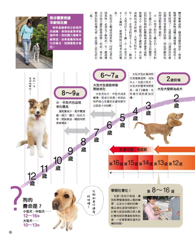 內頁 2