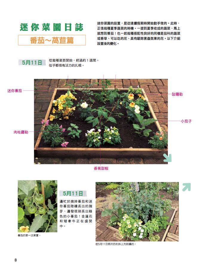 內頁 1