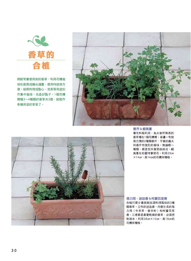 內頁 5