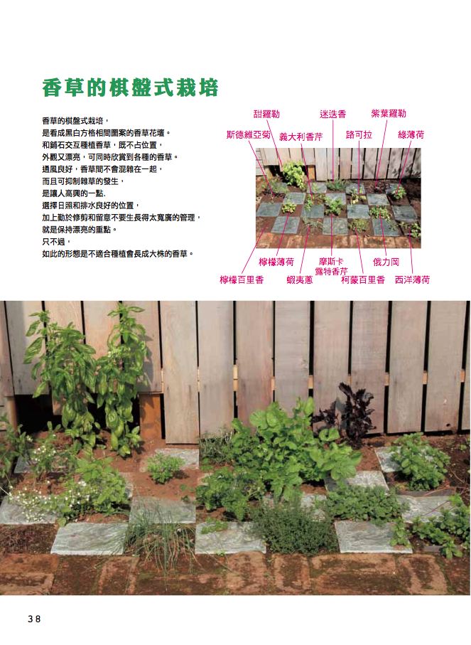 內頁 7