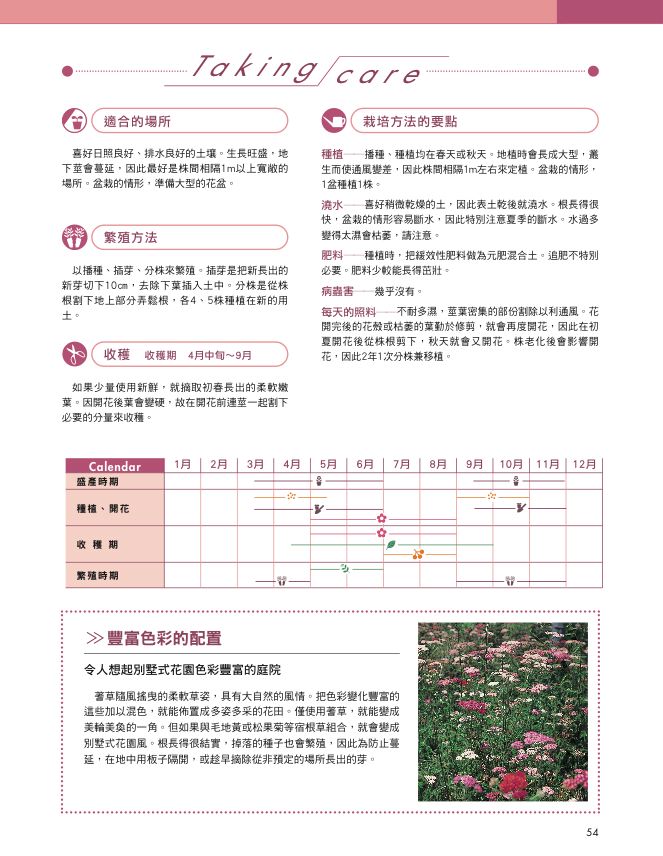 內頁 5