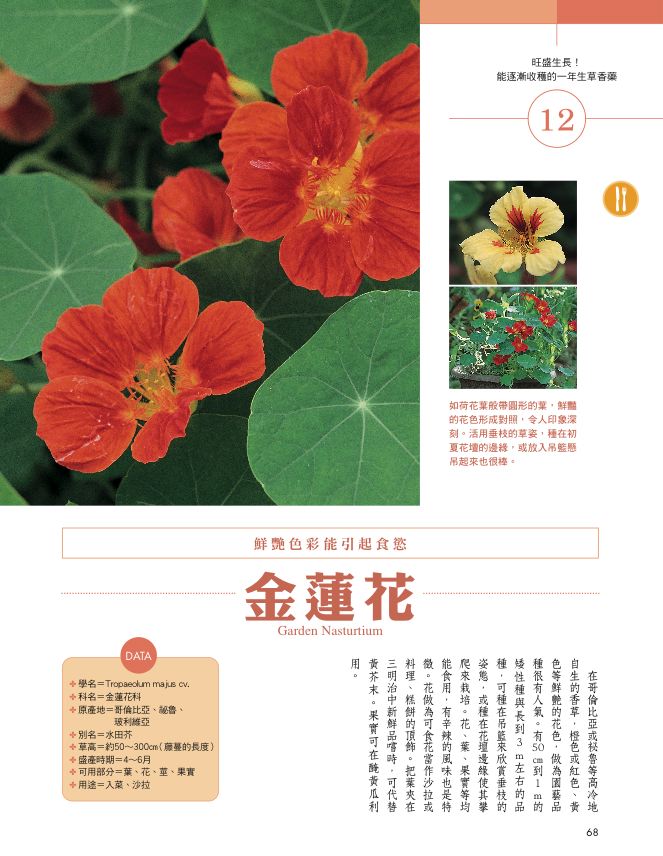 內頁 7
