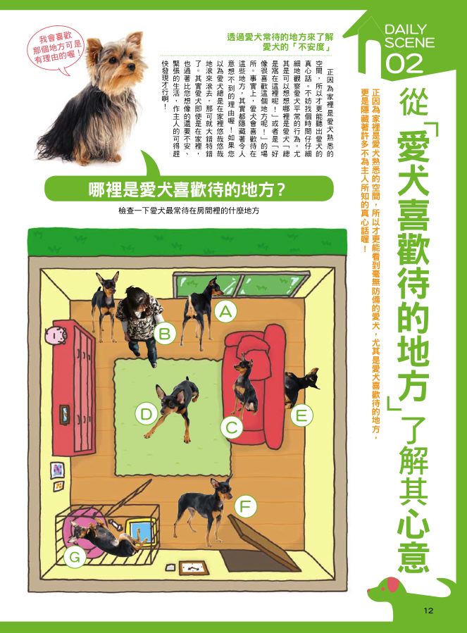 內頁 3