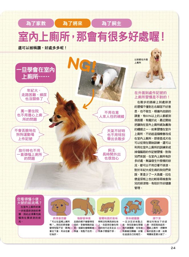 內頁 8