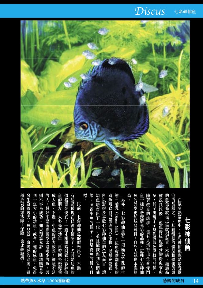 內頁 1