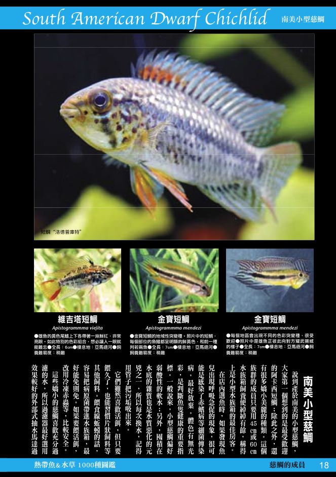 內頁 5