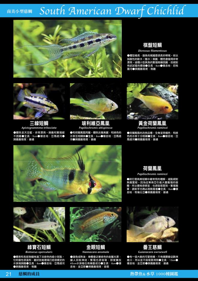 內頁 8