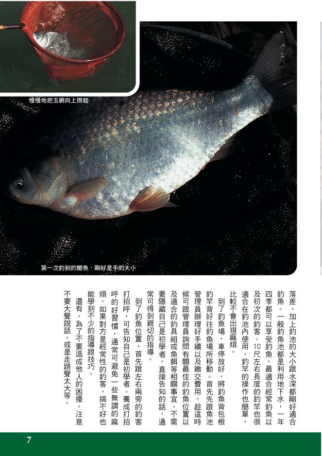 內頁 2