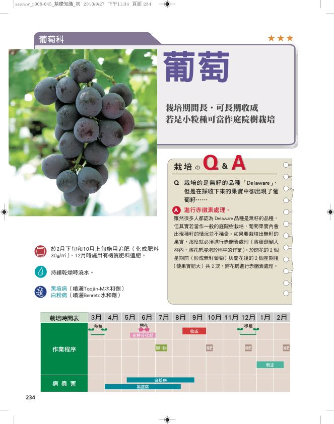 內頁 6