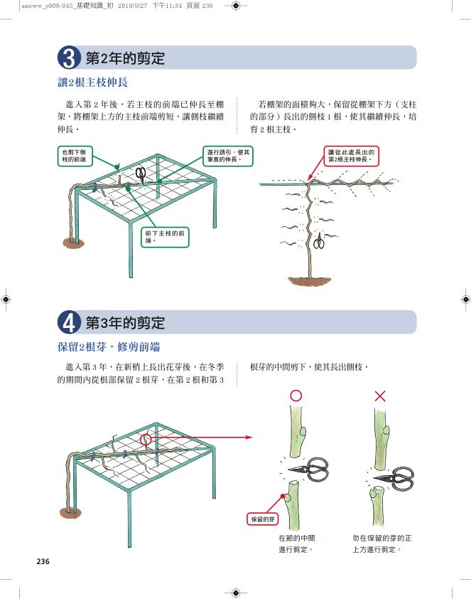 內頁 8