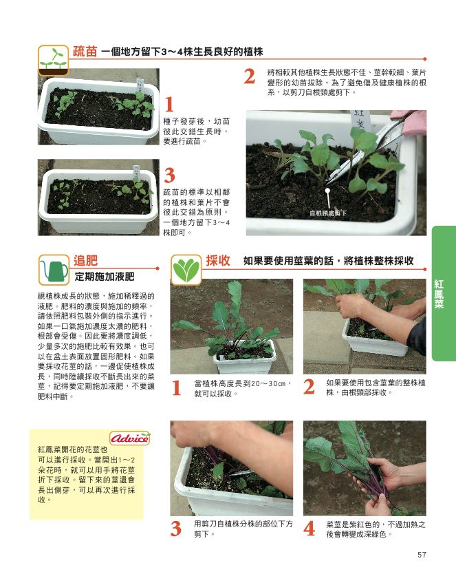 內頁 4