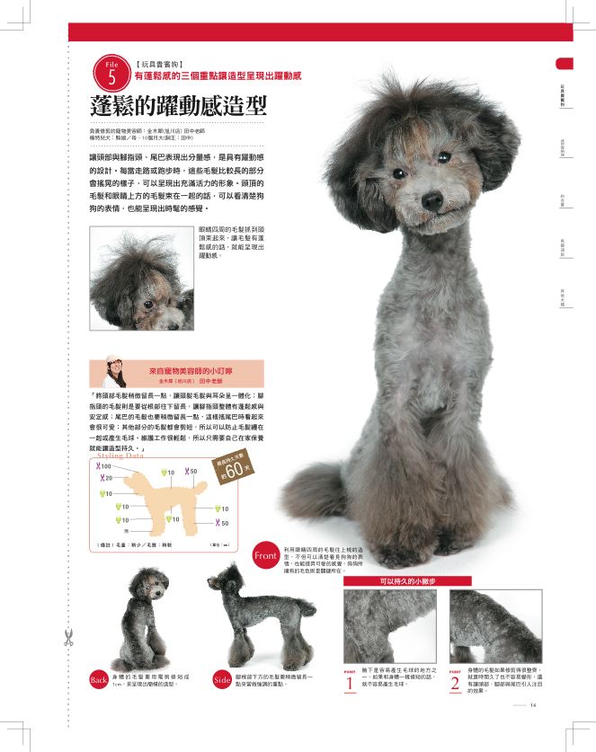 內頁 4