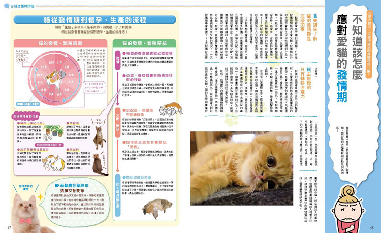 內頁 5