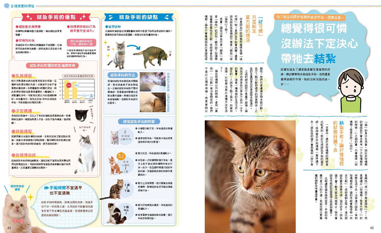 內頁 6