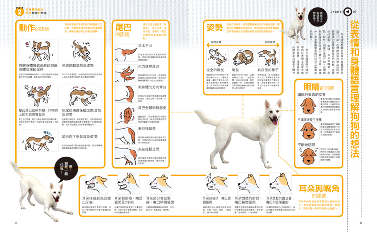 內頁 4
