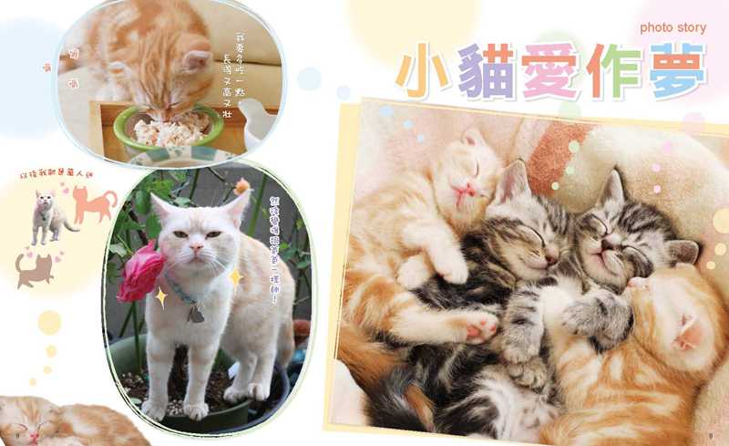 內頁 2