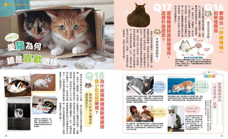 內頁 3