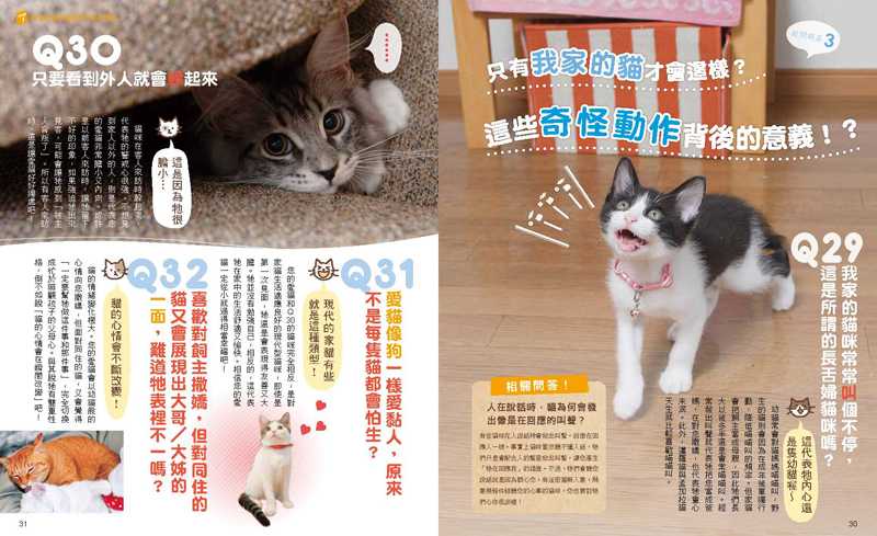 內頁 4
