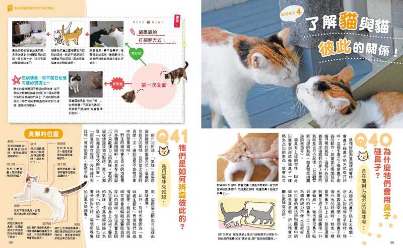 內頁 5