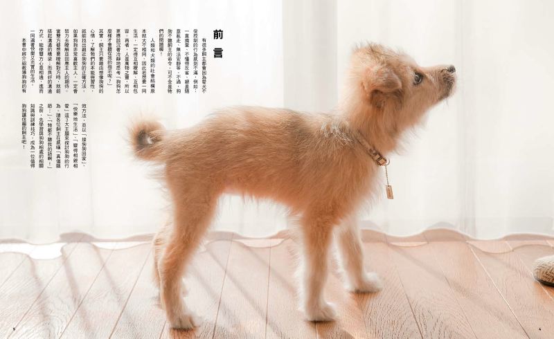 內頁 1