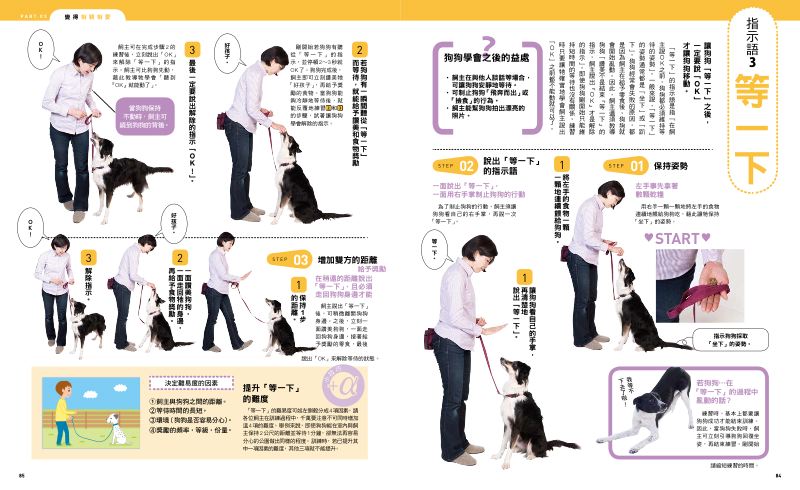 內頁 8