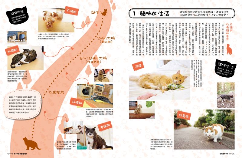 內頁 2