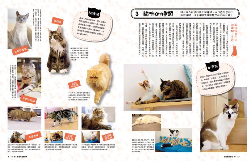 內頁 4