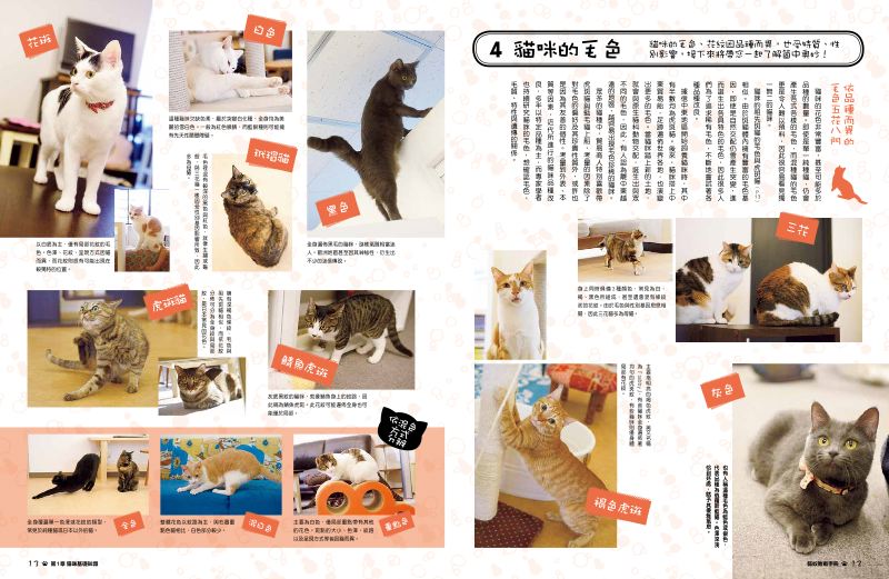 內頁 5