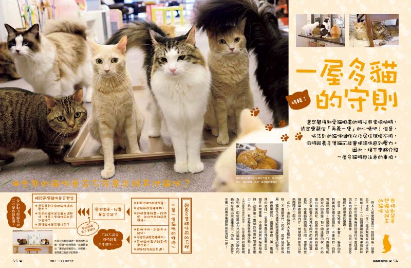 內頁 6