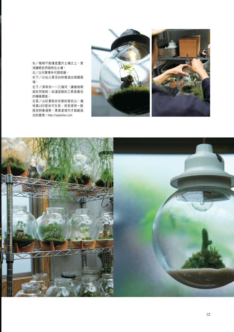 內頁 3