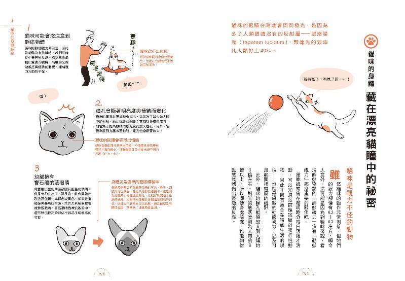內頁 2
