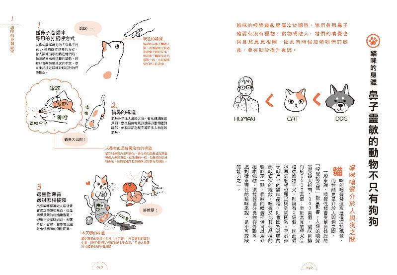 內頁 3