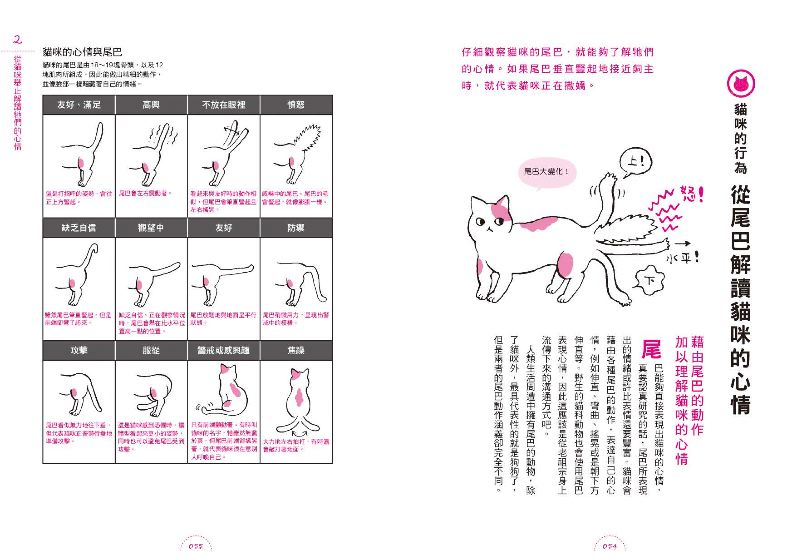 內頁 6