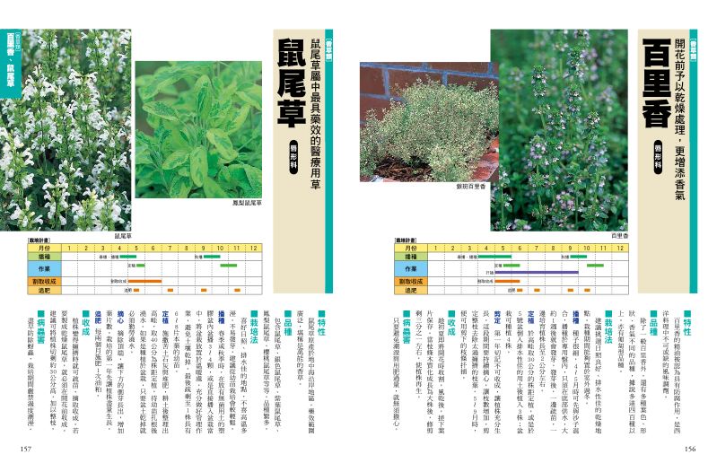 內頁 10