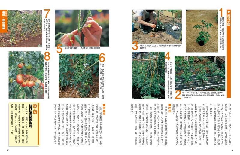 內頁 3