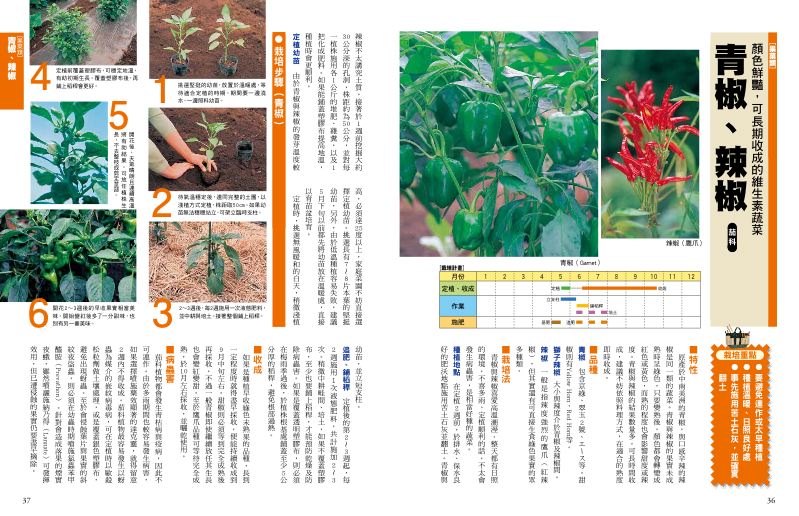 內頁 5