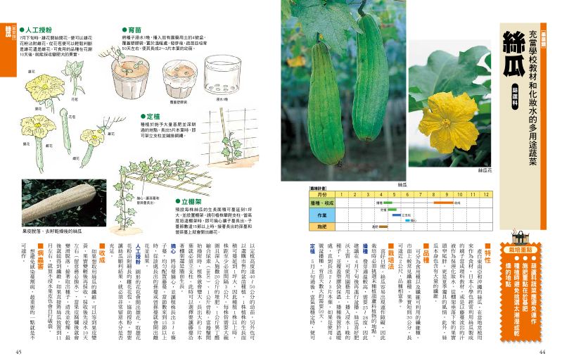 內頁 6