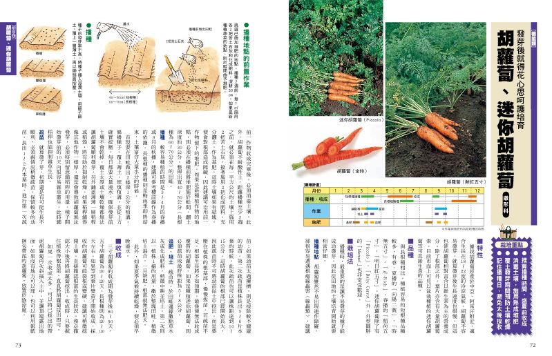 內頁 7