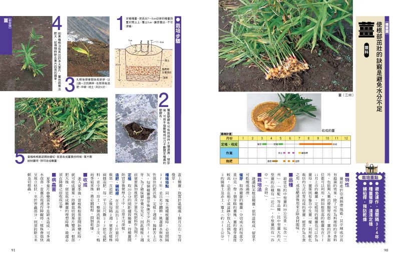 內頁 8
