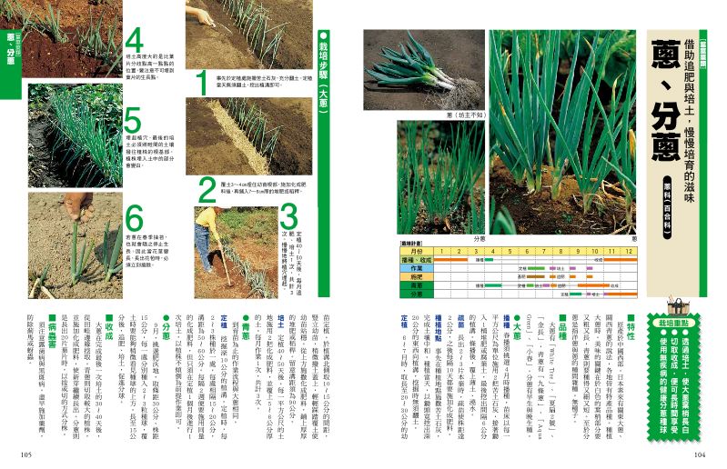 內頁 9