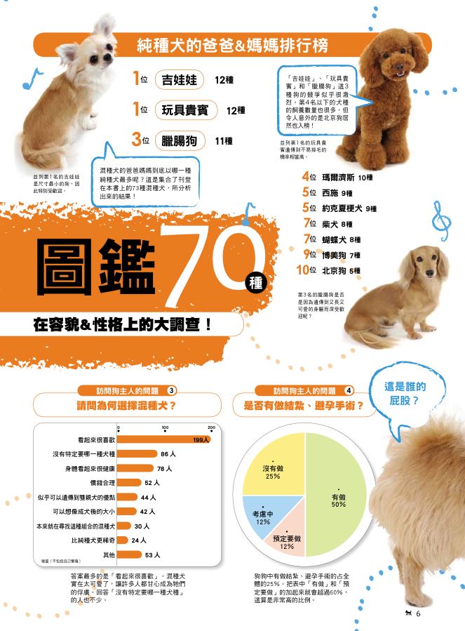 內頁 3