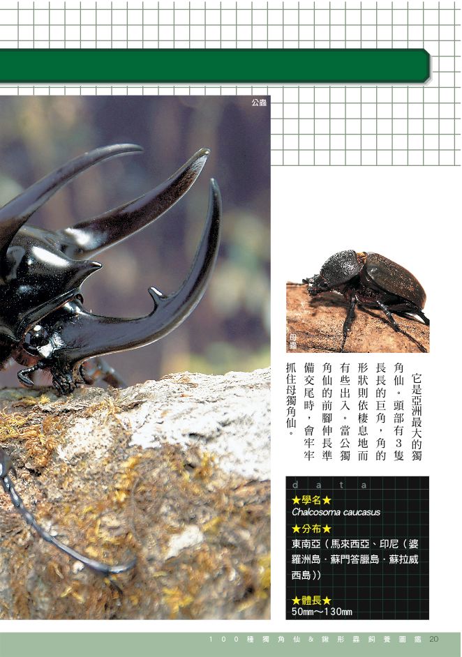 內頁 5